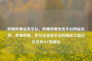 哔哩哔哩业务平台，哔哩哔哩业务平台网站优势，哔哩哔哩，多元化业务平台的崛起之路亿乐社区SUP货源站