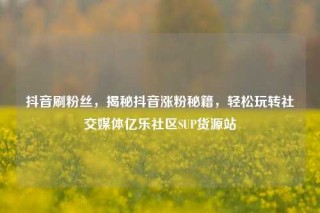抖音刷粉丝，揭秘抖音涨粉秘籍，轻松玩转社交媒体亿乐社区SUP货源站