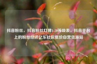 抖音粉丝，抖音粉丝灯牌1-20等级表，抖音平台上的粉丝经济亿乐社区低价自营货源站