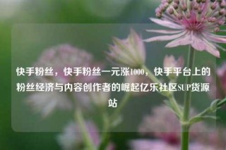 快手粉丝，快手粉丝一元涨1000，快手平台上的粉丝经济与内容创作者的崛起亿乐社区SUP货源站