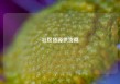 社区货源供货商
