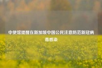 中使馆提醒在新加坡中国公民注意防范新冠病毒感染