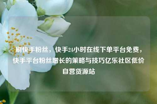刷快手粉丝	，快手24小时在线下单平台免费，快手平台粉丝增长的策略与技巧亿乐社区低价自营货源站  第1张