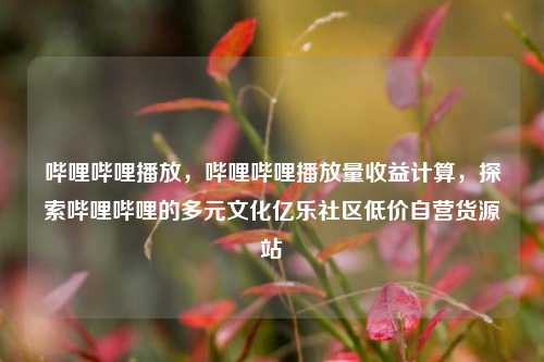哔哩哔哩播放，哔哩哔哩播放量收益计算，探索哔哩哔哩的多元文化亿乐社区低价自营货源站  第1张