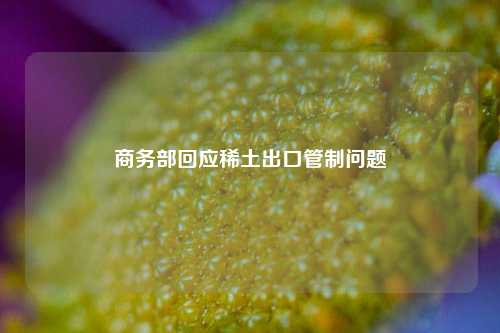 商务部回应稀土出口管制问题  第1张
