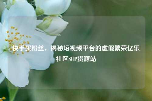 快手买粉丝，揭秘短视频平台的虚假繁荣亿乐社区SUP货源站  第1张