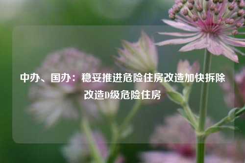中办、国办：稳妥推进危险住房改造加快拆除改造D级危险住房  第1张
