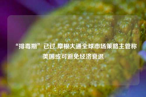 “排毒期”已过 摩根大通全球市场策略主管称美国或可避免经济衰退  第1张