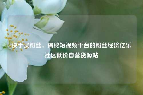 快手买粉丝，揭秘短视频平台的粉丝经济亿乐社区低价自营货源站  第1张