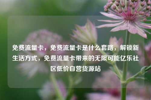 免费流量卡，免费流量卡是什么套路，解锁新生活方式	，免费流量卡带来的无限可能亿乐社区低价自营货源站  第1张