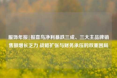 服饰年报|报喜鸟净利暴跌三成、三大主品牌销售额增长乏力 战略扩张与财务承压的双重困局  第1张