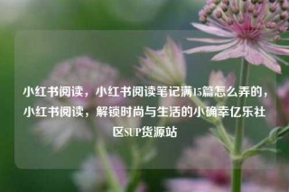 小红书阅读，小红书阅读笔记满15篇怎么弄的，小红书阅读，解锁时尚与生活的小确幸亿乐社区SUP货源站