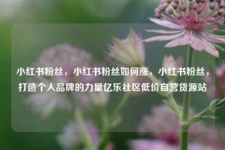 小红书粉丝，小红书粉丝如何涨，小红书粉丝，打造个人品牌的力量亿乐社区低价自营货源站