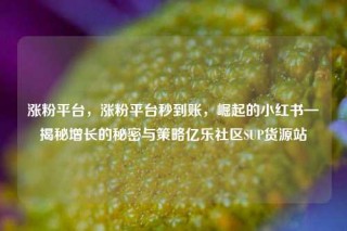 涨粉平台，涨粉平台秒到账，崛起的小红书—揭秘增长的秘密与策略亿乐社区SUP货源站