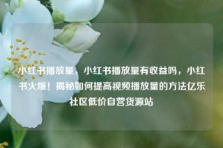 小红书播放量，小红书播放量有收益吗，小红书火爆！揭秘如何提高视频播放量的方法亿乐社区低价自营货源站