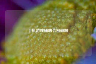 手机游戏辅助卡密破解