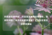 抖音涨流量网站，抖音涨流量网站有哪些，如何在抖音上高效获取更多流量？亿乐社区低价自营货源站