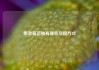 集装箱运输有哪些交接方式
