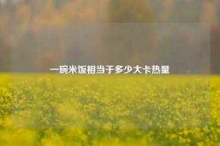 一碗米饭相当于多少大卡热量