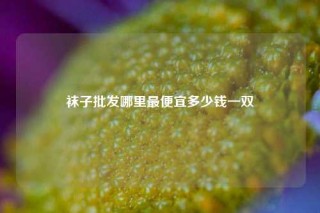 袜子批发哪里最便宜多少钱一双