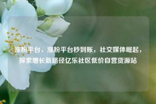 涨粉平台，涨粉平台秒到账，社交媒体崛起，探索增长新路径亿乐社区低价自营货源站