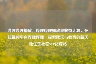 哔哩哔哩播放，哔哩哔哩播放量收益计算，在线视频平台哔哩哔哩，探索娱乐与教育的新天地亿乐社区SUP货源站