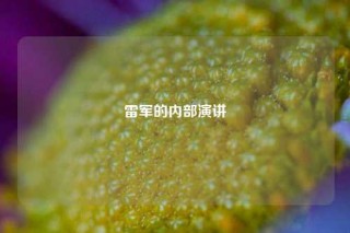 雷军的内部演讲