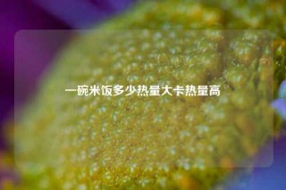 一碗米饭多少热量大卡热量高