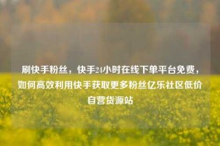 刷快手粉丝，快手24小时在线下单平台免费，如何高效利用快手获取更多粉丝亿乐社区低价自营货源站