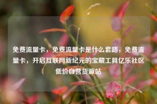 免费流量卡，免费流量卡是什么套路，免费流量卡，开启互联网新纪元的宝藏工具亿乐社区低价自营货源站