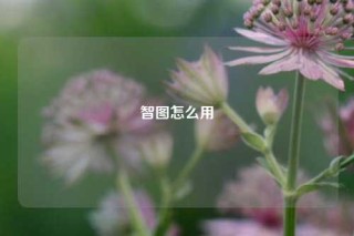 智图怎么用