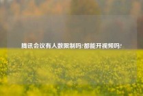 腾讯会议有人数限制吗?都能开视频吗?