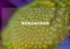 集装箱运输价格走势