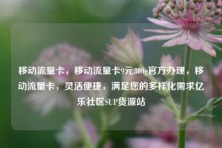移动流量卡，移动流量卡9元300g官方办理，移动流量卡，灵活便捷，满足您的多样化需求亿乐社区SUP货源站