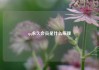 qq永久会员是什么原理