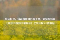 抖音粉丝，抖音粉丝排名前十名，如何在抖音上吸引并保持大量粉丝？亿乐社区SUP货源站
