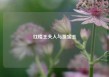 红楼王夫人与贾宝玉