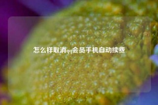 怎么样取消qq会员手机自动续费