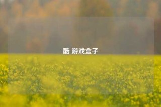酷 游戏盒子