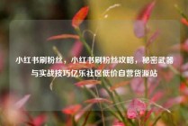 小红书刷粉丝，小红书刷粉丝攻略，秘密武器与实战技巧亿乐社区低价自营货源站