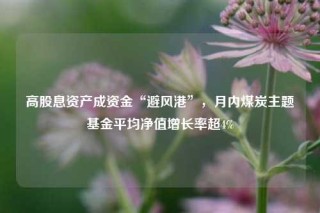 高股息资产成资金“避风港”，月内煤炭主题基金平均净值增长率超4%
