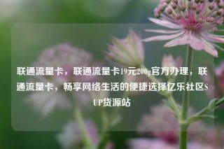 联通流量卡，联通流量卡19元200g官方办理，联通流量卡，畅享网络生活的便捷选择亿乐社区SUP货源站