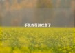 手机传奇游戏盒子