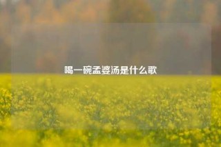 喝一碗孟婆汤是什么歌