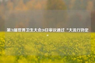 第78届世界卫生大会20日审议通过“大流行协定”