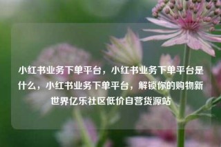 小红书业务下单平台，小红书业务下单平台是什么，小红书业务下单平台，解锁你的购物新世界亿乐社区低价自营货源站