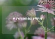 快手点赞自助业务下单网站
