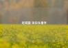 吃碗面 见白头番外