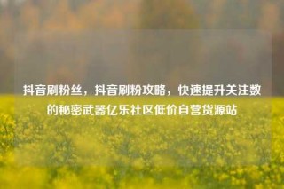 抖音刷粉丝，抖音刷粉攻略，快速提升关注数的秘密武器亿乐社区低价自营货源站