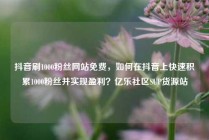 抖音刷1000粉丝网站免费，如何在抖音上快速积累1000粉丝并实现盈利？亿乐社区SUP货源站